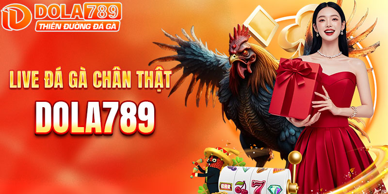 Sống động từng giây phút cùng sảnh đá gà